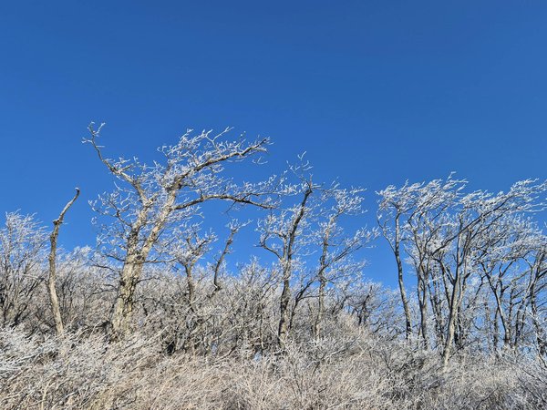 Top des antihistaminiques incontournables pour soulager vos allergies efficacement